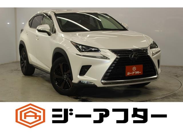 Lexus NX 2018 — фото автомобиля 1
