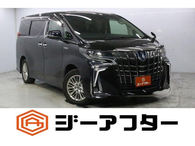 Toyota ALPHARD HYBRID 2019 — фото автомобиля