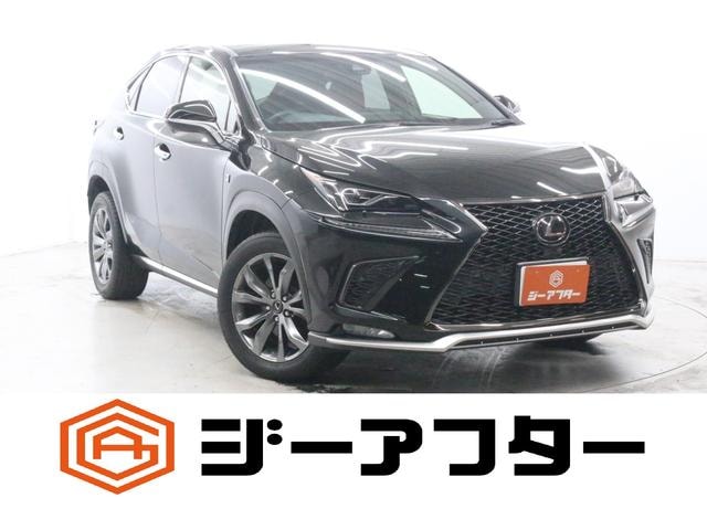 Lexus NX 2018 — фото автомобиля 1