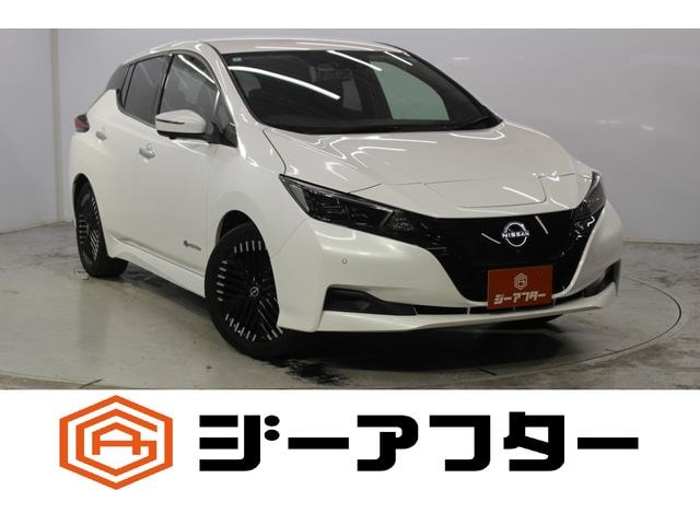 Nissan LEAF 2022 — фото автомобиля