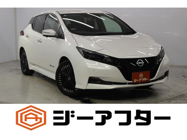 Nissan LEAF 2022 — фото автомобиля 1