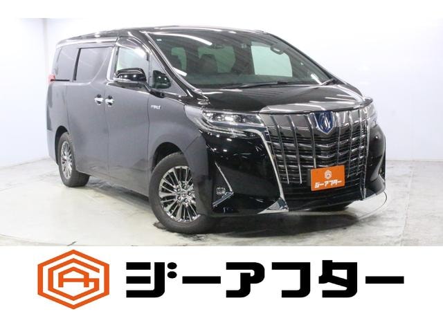 Toyota ALPHARD HYBRID 2019 — фото автомобиля