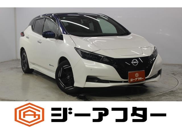 Nissan LEAF 2022 — фото автомобиля 1