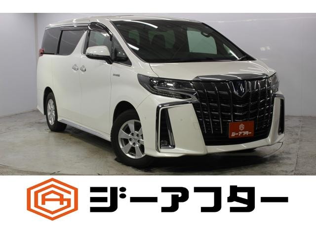 Toyota ALPHARD HYBRID 2021 — фото автомобиля