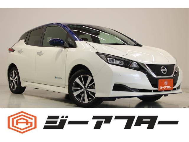 Nissan LEAF 2021 — фото автомобиля 1