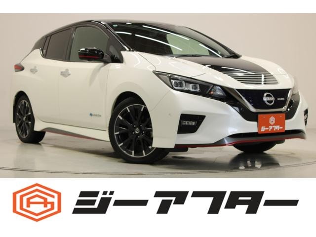 Nissan LEAF 2020 — фото автомобиля 1