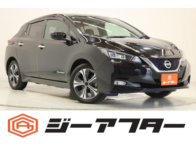 Nissan LEAF 2019 — фото автомобиля 1