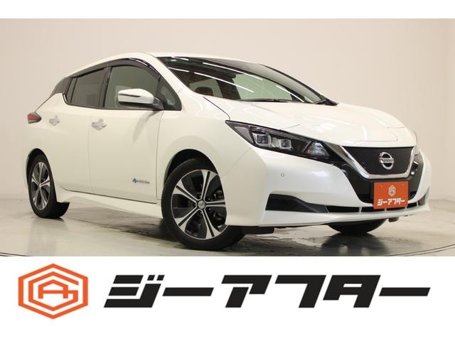 Nissan LEAF 2018 — фото автомобиля 1