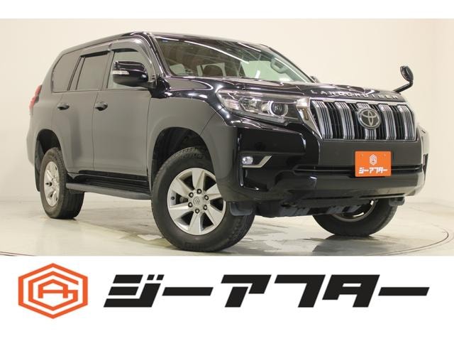 Toyota LAND CRUISER PRADO 2021 — фото автомобиля 1