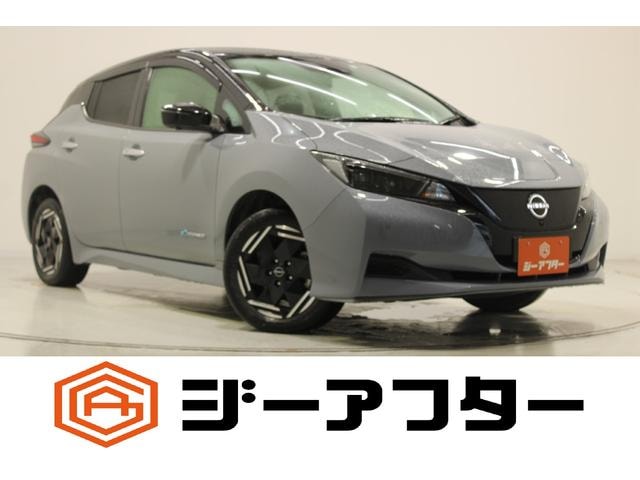 Nissan LEAF 2022 — фото автомобиля 1