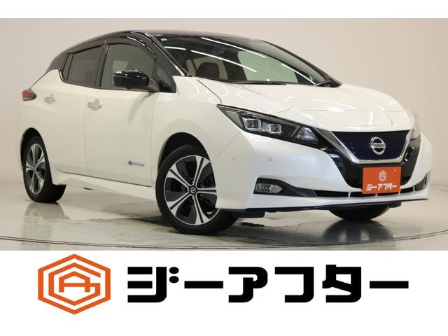 Nissan LEAF 2019 — фото автомобиля 1