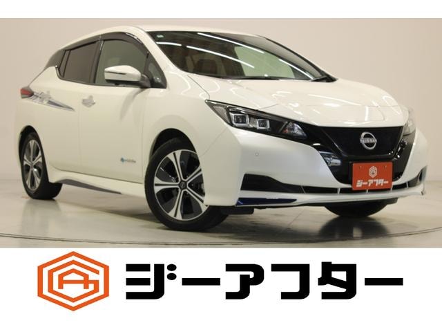 Nissan LEAF 2022 — фото автомобиля 1