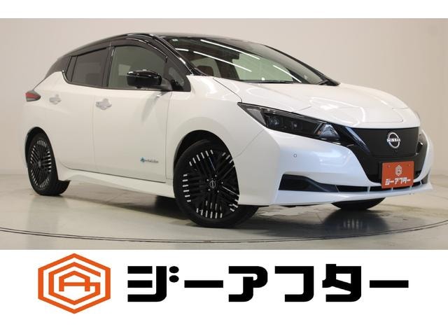 Nissan LEAF 2022 — фото автомобиля 1