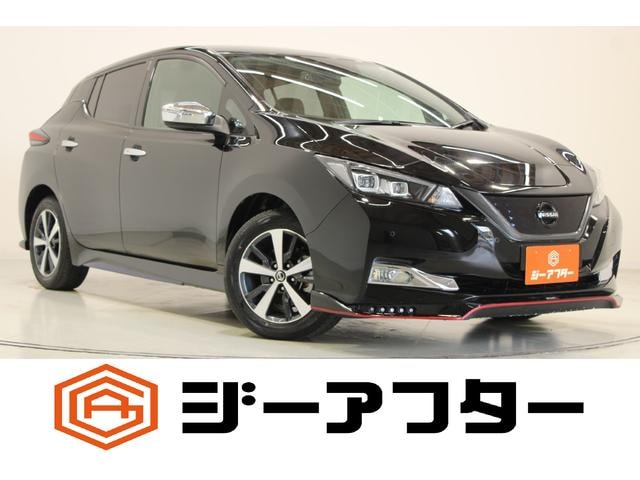 Nissan LEAF 2019 — фото автомобиля 1