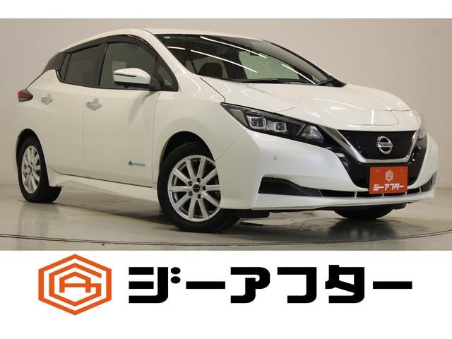 Nissan LEAF 2020 — фото автомобиля 1