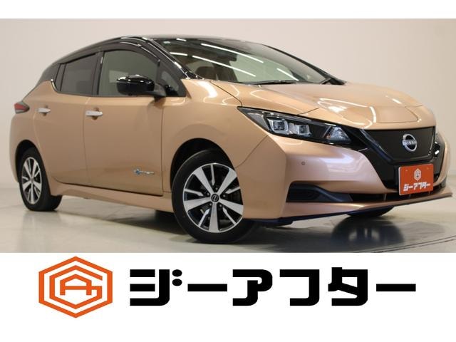 Nissan LEAF 2021 — фото автомобиля 1