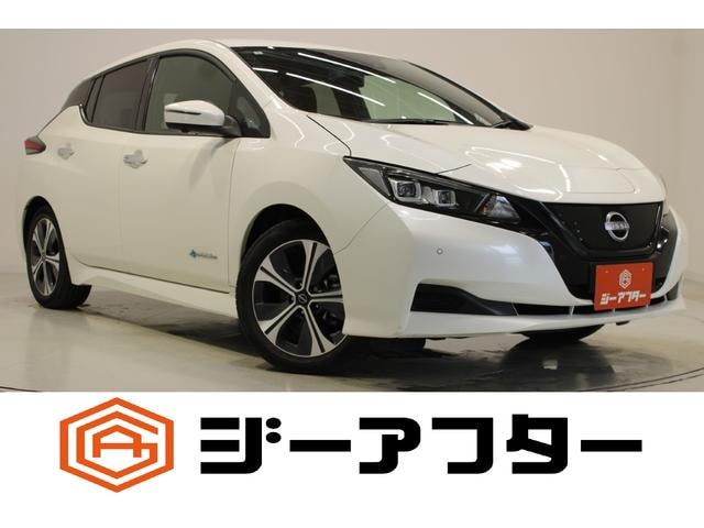 Nissan LEAF 2022 — фото автомобиля 1