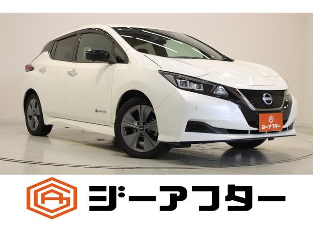 Nissan LEAF 2022 — фото автомобиля 1