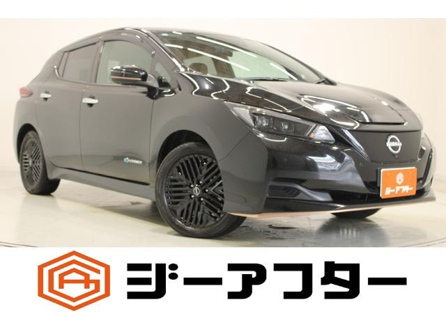 Nissan LEAF 2023 — фото автомобиля 1