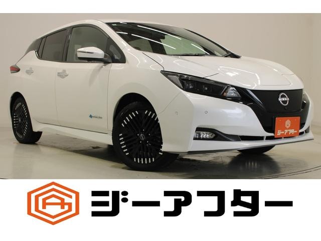 Nissan LEAF 2022 — фото автомобиля 1