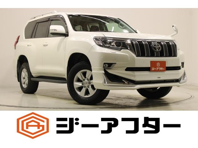 Toyota LAND CRUISER PRADO 2021 — фото автомобиля 1