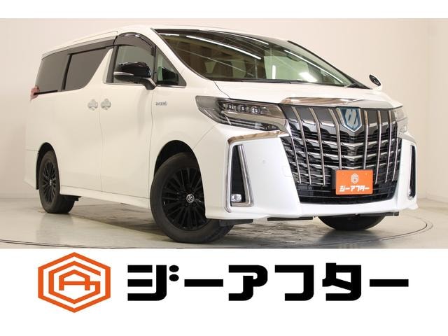 Toyota ALPHARD HYBRID 2019 — фото автомобиля
