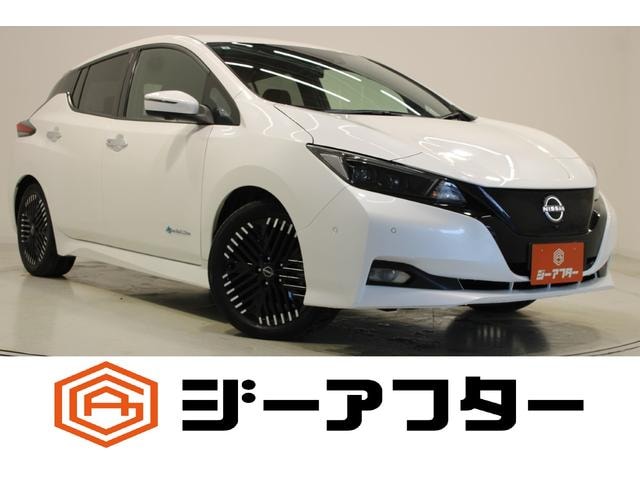 Nissan LEAF 2022 — фото автомобиля 1
