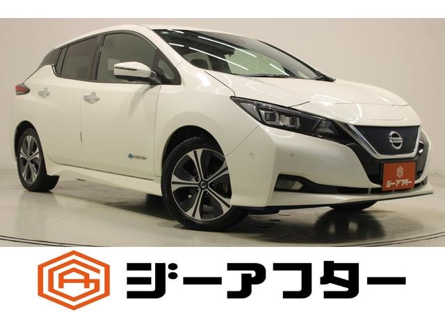 Nissan LEAF 2020 — фото автомобиля
