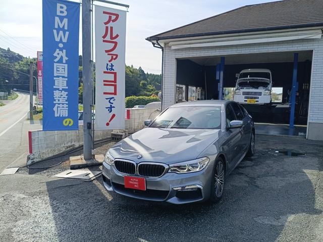 Bmw 5 SERIES 2019 — фото автомобиля 1