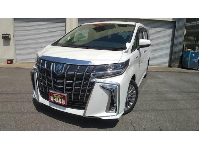 Toyota ALPHARD HYBRID 2019 — фото автомобиля