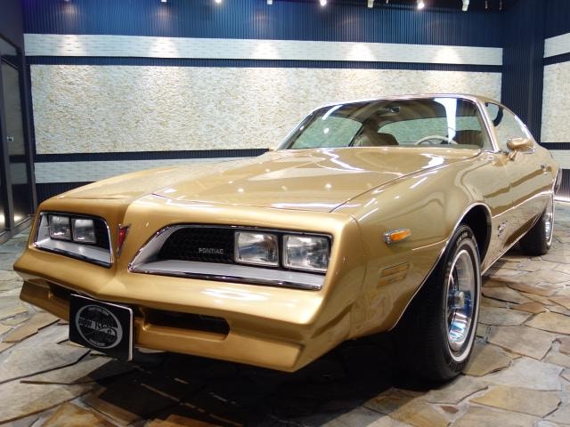 Pontiac FIREBIRD 1977 — фото автомобиля 1