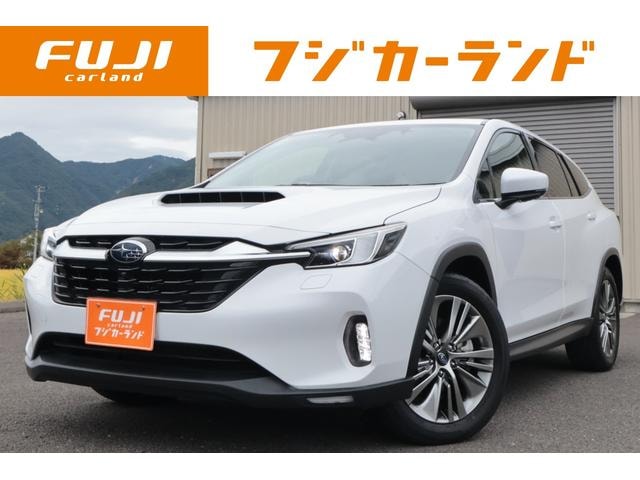 Subaru LEVORG LAYBACK 2024 — фото автомобиля