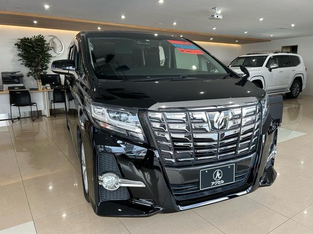 Toyota ALPHARD 2016 — фото автомобиля 1