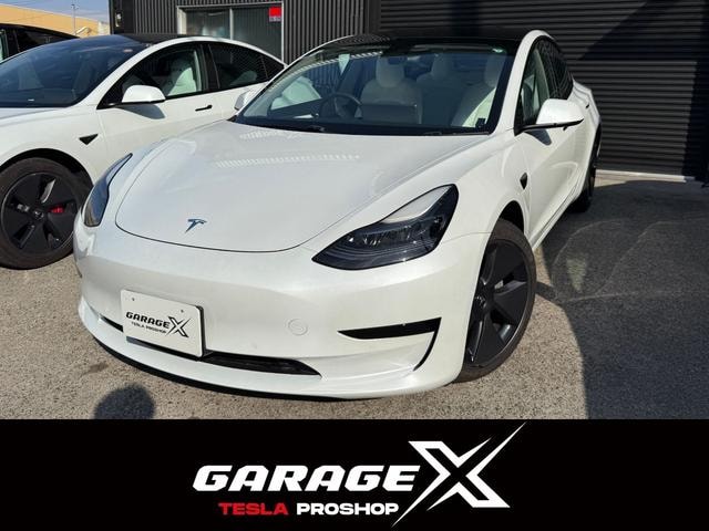 Tesla MODEL 3 2021 — фото автомобиля 1