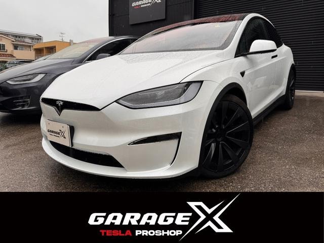 Tesla MODEL X 2023 — фото автомобиля