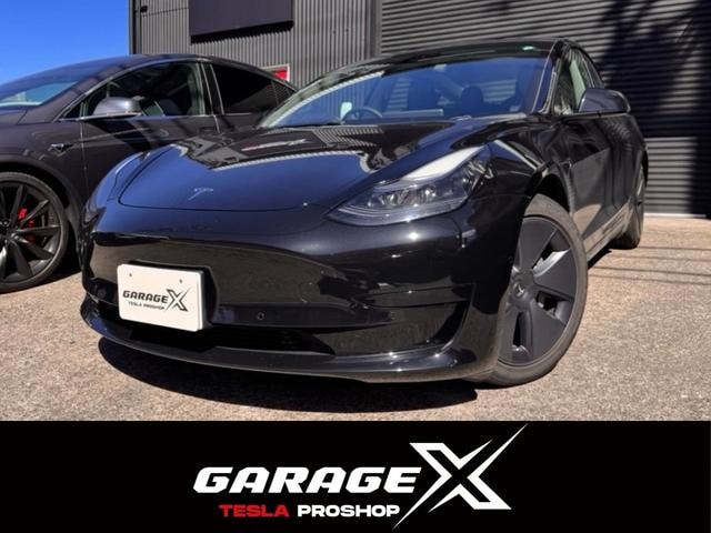 Tesla MODEL 3 2021 — фото автомобиля 1
