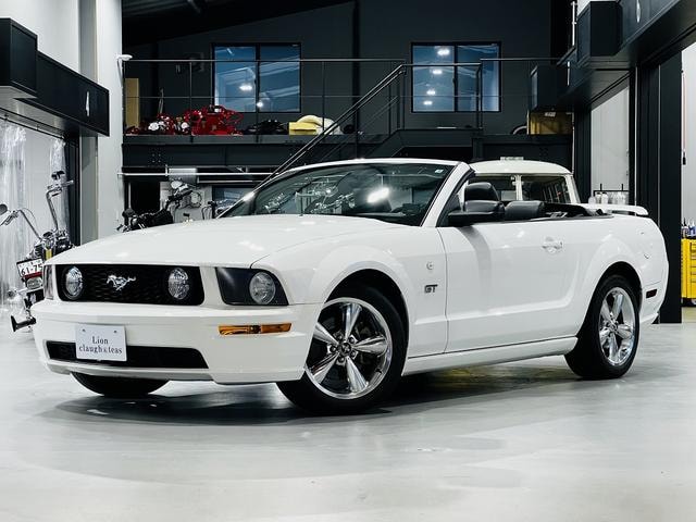 Ford MUSTANG 2007 — фото автомобиля 1