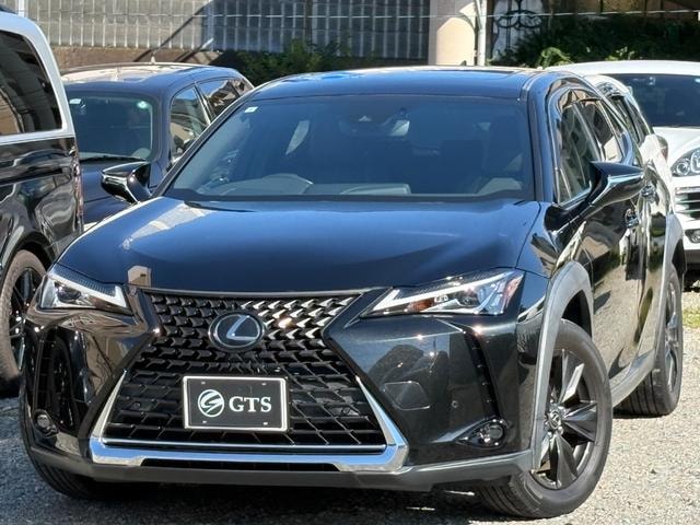 Lexus UX 2019 — фото автомобиля 1