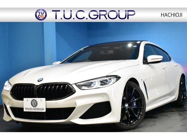 Bmw 8 SERIES 2019 — фото автомобиля 1