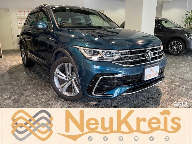 Volkswagen TIGUAN 2024 — фото автомобиля