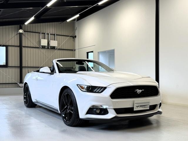 Ford MUSTANG  — фото автомобиля