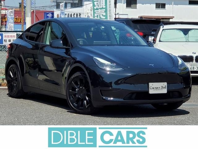Tesla MODEL Y 2023 — фото автомобиля 1