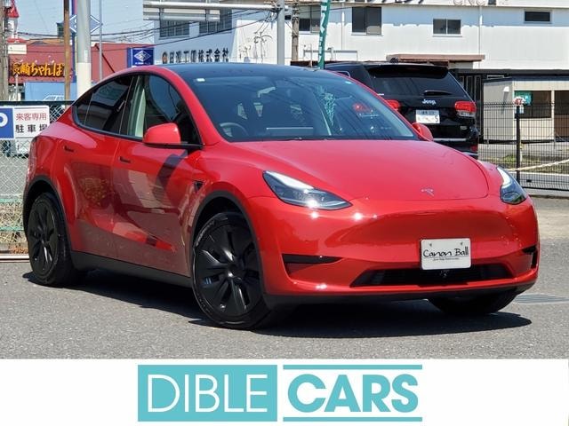 Tesla MODEL Y 2023 — фото автомобиля 1