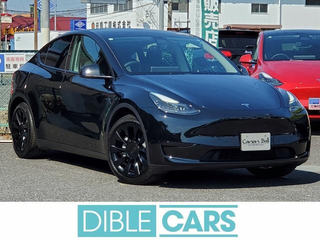 Tesla MODEL Y 2023 — фото автомобиля 1
