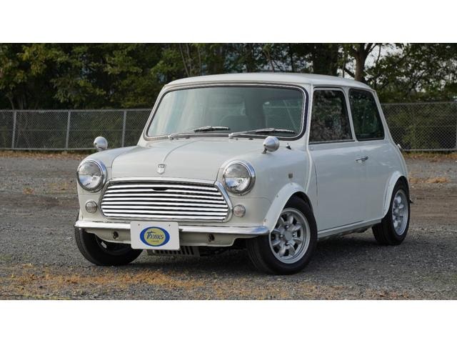 Rover MINI 1994 — фото автомобиля