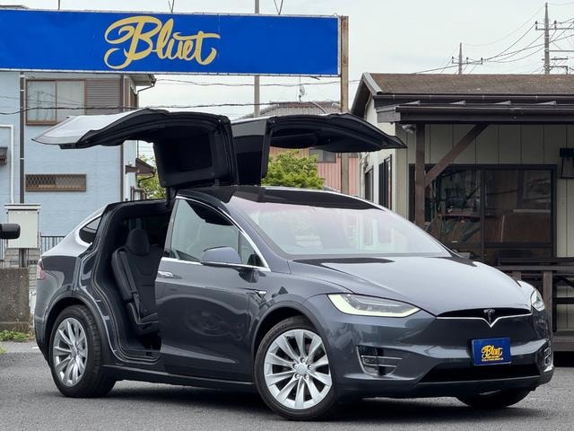 Tesla MODEL X 2018 — фото автомобиля 1