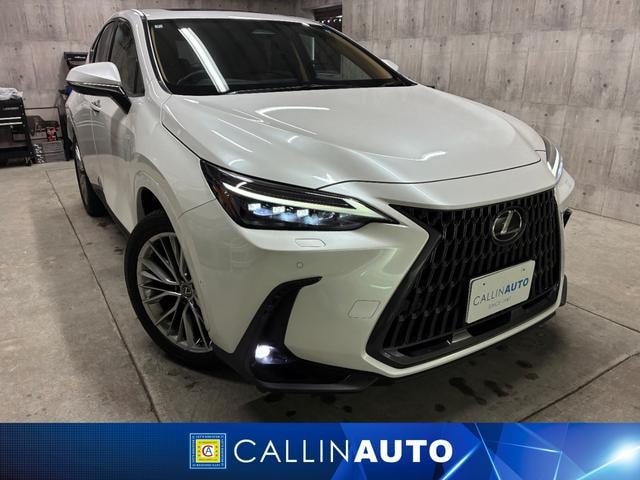 Lexus NX 2024 — фото автомобиля 1