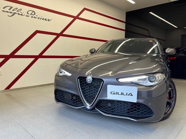 Alfa Romeo GIULIA 2021 — фото автомобиля 1