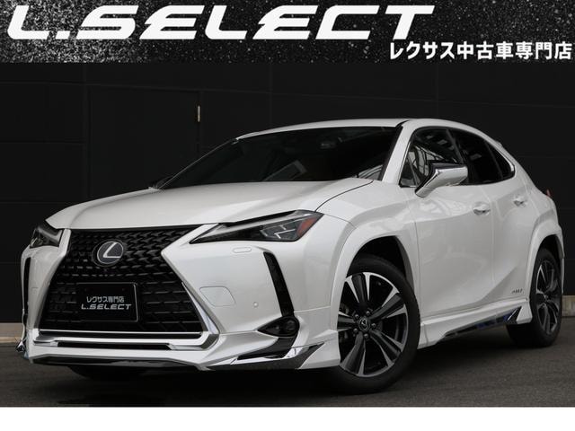 Lexus UX 2020 — фото автомобиля 1