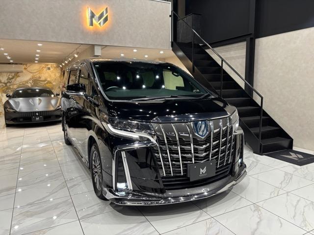 Toyota ALPHARD HYBRID 2019 — фото автомобиля